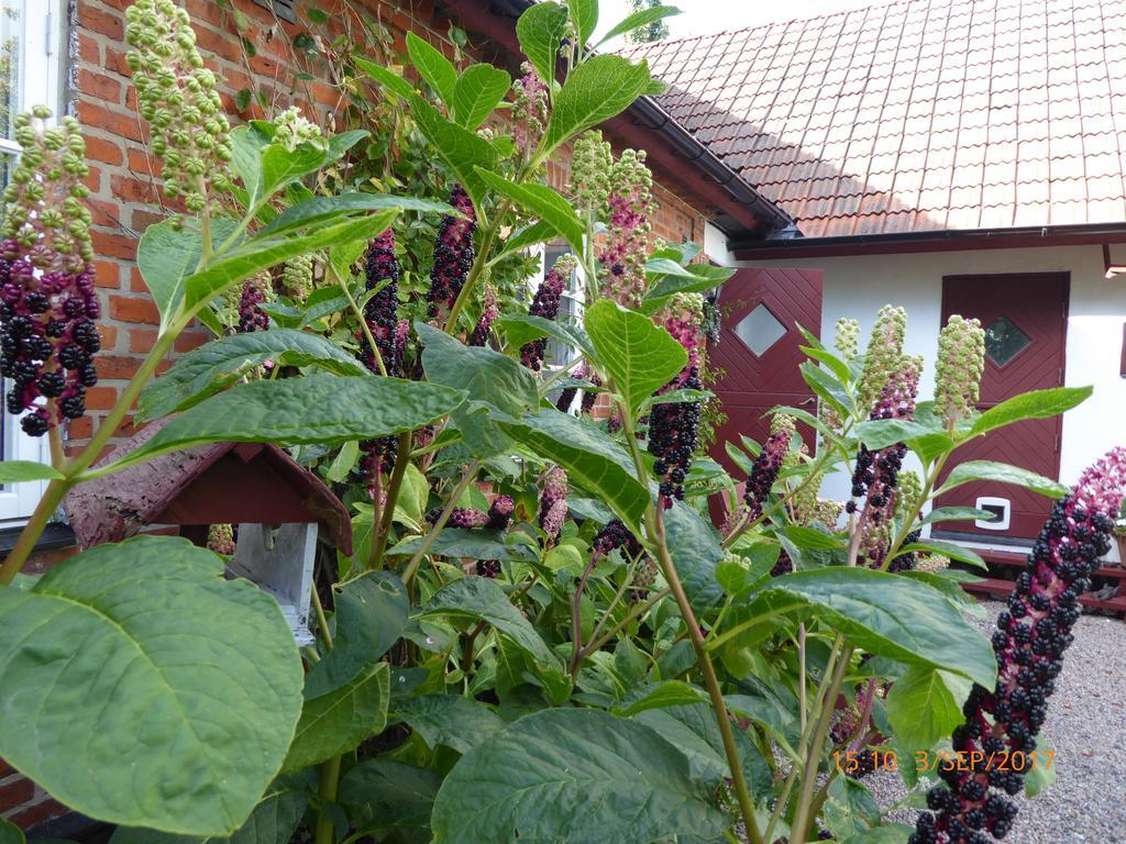 Akarpsvaegen Vacation Home 트렐레보리 외부 사진